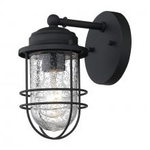  9808-OWS NB-SD - 1 Light Wall Sconce - Outdoor